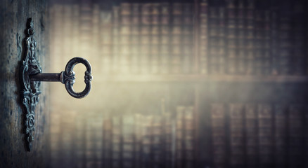 老虎的爪子长还是狮子的爪子长